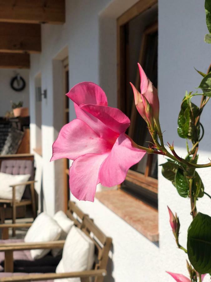 Apartamento Alpbach 646 Exterior foto